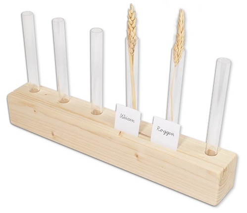 Setzleiste aus Holz mit 6 Reagenzgläsern